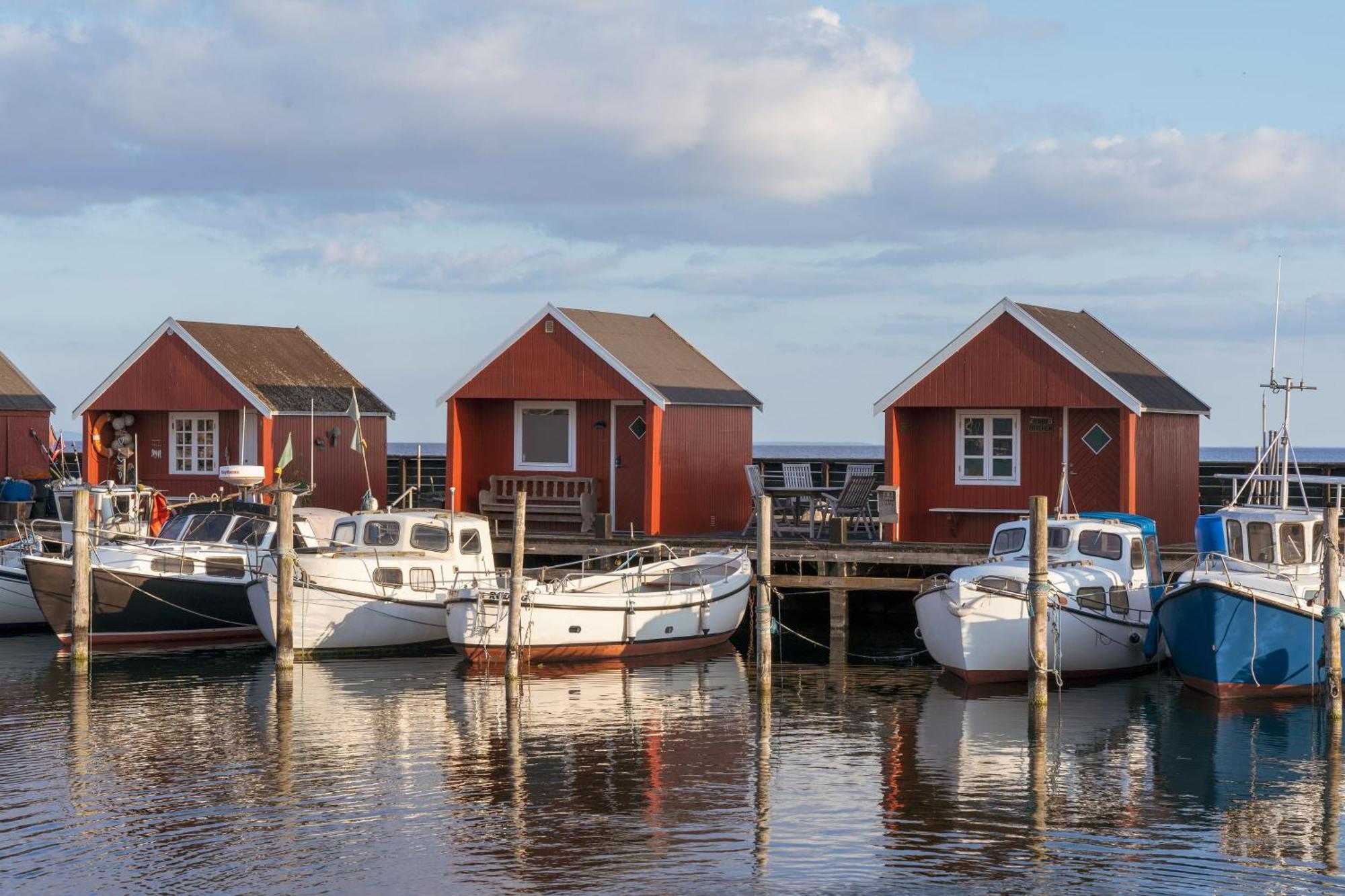 Stevns Klint Strandpension Rødvig Exterior foto