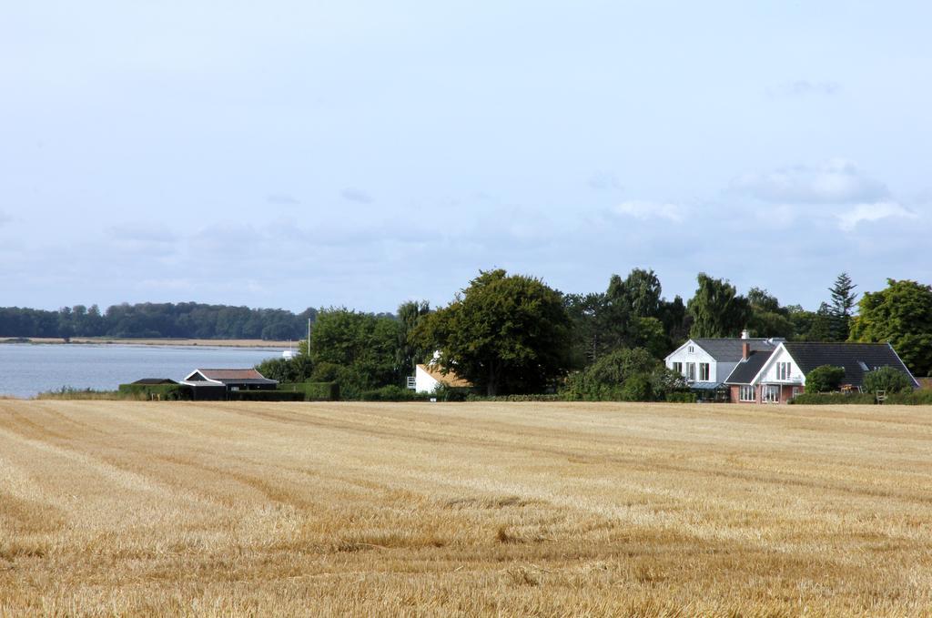 Stevns Klint Strandpension Rødvig Exterior foto