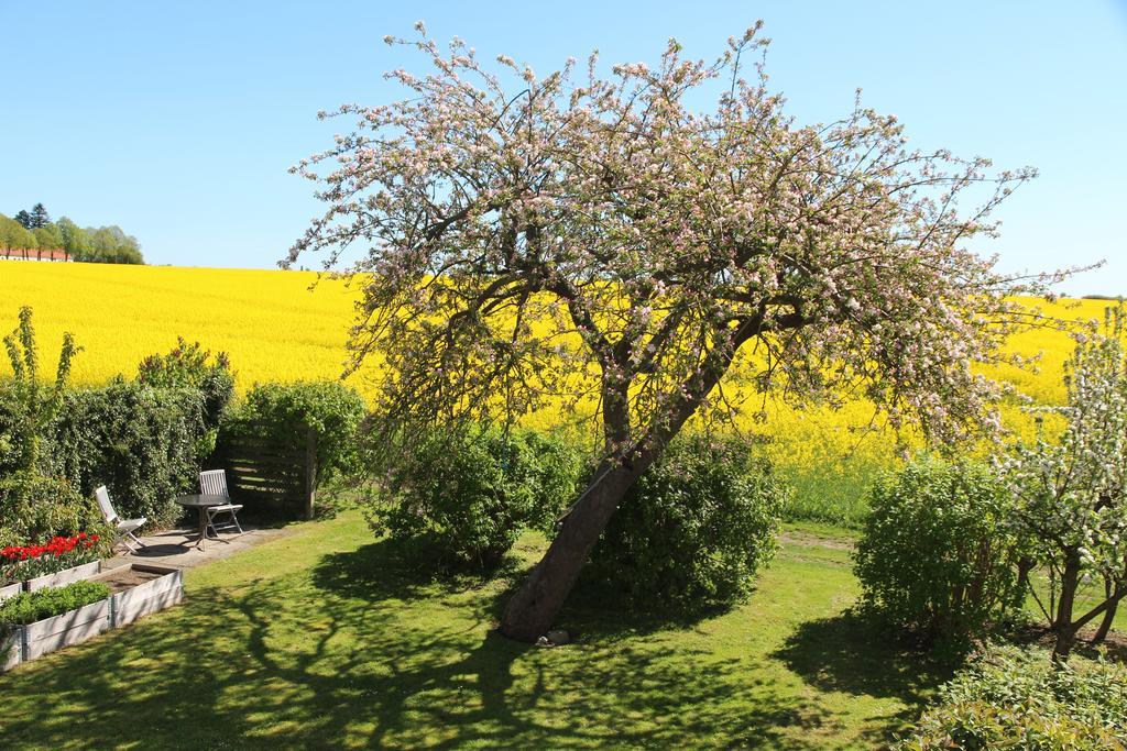 Stevns Klint Strandpension Rødvig Exterior foto