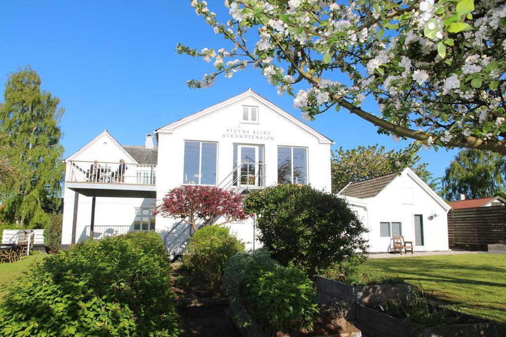 Stevns Klint Strandpension Rødvig Exterior foto